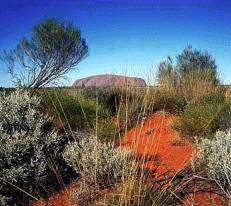 There are millions of photos taken annually of the wonderland of Ayers Rock (Uluru)