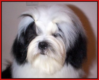Aged 5 1/2 months