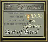 Pet Reflections Best of Breed Site of the Month for August 2000