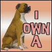 I OWN A DOCKED BREED.........AND I VOTE!!!!!!!!!!!!