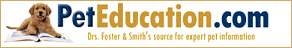 Pet Education.com