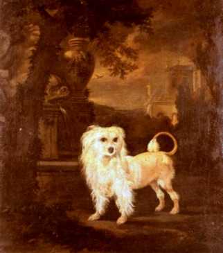 THE PROPERTY OF A GENTLEMAN - A Lowchen by a fountain in the gardens of a country house.