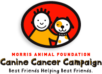 Canine Cancer Campaign