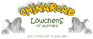 Put a little lion in your den!