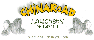 Put a little lion in your den!