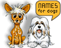 Names for Pets by Chinaroad - Image COPYRIGHT!
