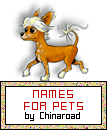 Names for Pets by Chinaroad - Image COPYRIGHT