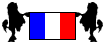 Lowchens & French flag