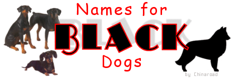 Names for BLACK DOGS, HORSES, PETS ... by Chinaroad